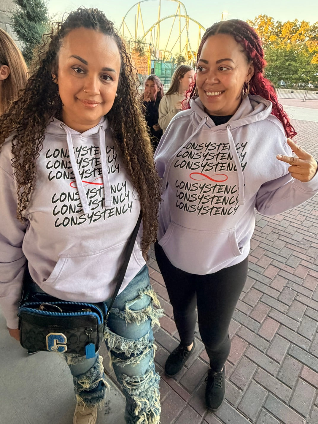 SYX & NUTRITION FACTS Hoodie